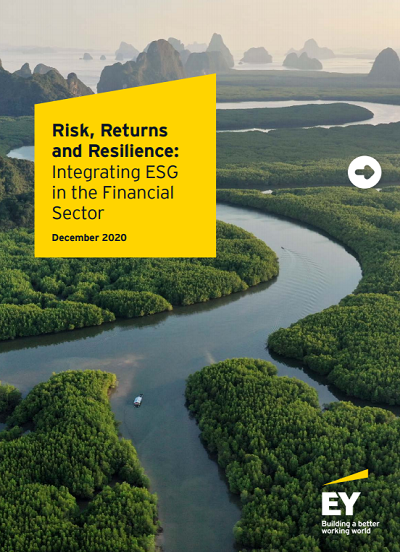 Risk, Returns and Resilience: Integrating ESG in the Financial Sector