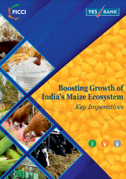 Boosting Growth of India's Maize Ecosystem