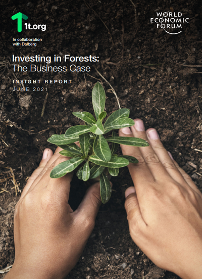 Investing in Forests: The Business Case