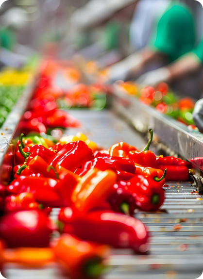 Food Processing
