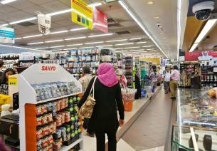 The Indian Consumer
