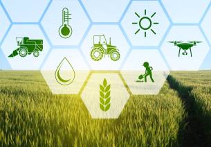 Agriculture Grand Challenge - Seeding innovations in Agriculture