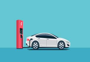 The Backers and Drivers of Electric Mobility 