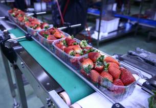Food processing