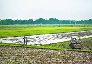 Leveraging the e-NAM platform for agri-logistics support