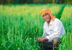 Agriculture in India