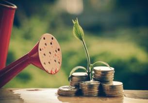 Investments in startup ecosystems in the times of COVID-19 