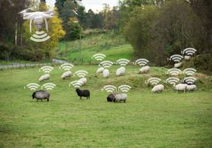 Technology in Animal Husbandry 