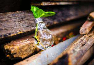 Innovative Startups in the Biotech Sector