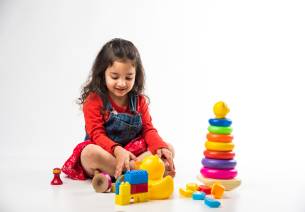 Indian toy sector