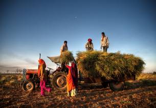 agri