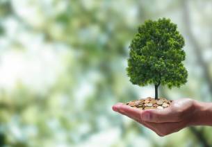 carbon finance