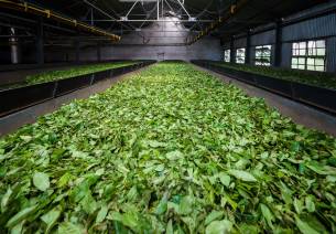 food processing