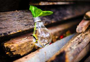 Advancing rural innovations: The second Unnati Showcase