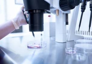 In-vitro