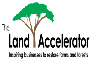 Accelerating Sustainability