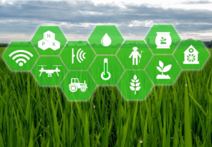 Innovations and Advancement in AgriTech