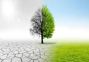 Climate change