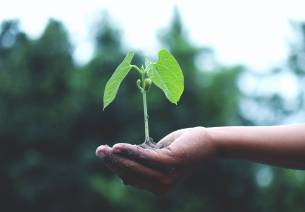 Impact Investment: Catalyst for Sustainable Development Goals