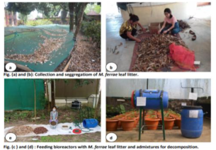 Swachhta Saarthi Fellowship: A Youth Movement to Tackle India’s Waste Management