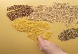 millet