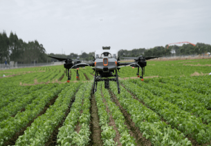 Drones in agriculture