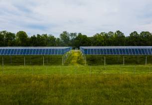 PPPs and Sustainable Development