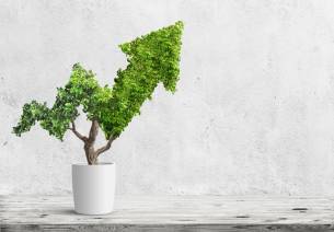 Green Economy