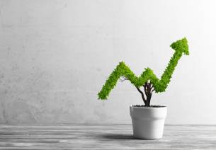 Financing Growth 