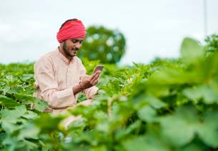 India farm