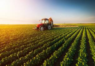 farming