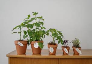 Social Sustainability