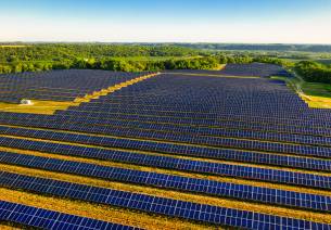 Green Business for the future