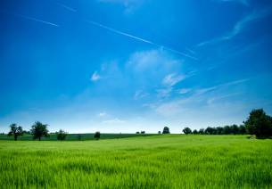 Green energy pivotal to safeguard against climate crisis