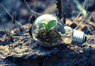 Carbon Capture, Utilization, and Storage (CCUS) – India’s leap towards Green Energy