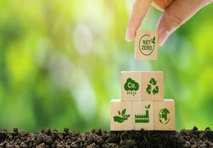 India’s Evolving Carbon Credit Market