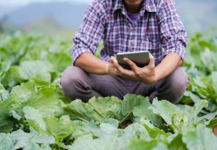 Digitalisation of Agriculture in India