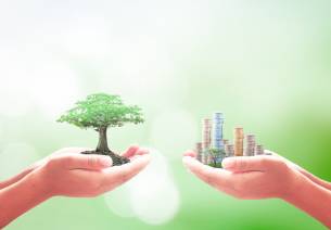 Sustainability and entrepreneurship