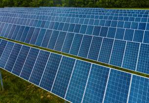 India’s Bio-Based Economy