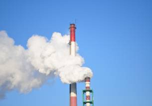 Role Of Technology in the Protection of Forests for Climate Change Mitigation