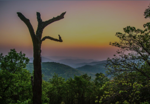 Jharkhand Tourism Policy Offers Attractive Incentives and Opportunities for Investors