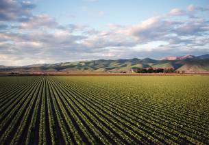 The Rise of Agri-tech in India