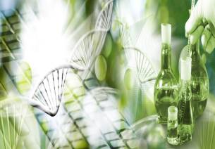 Funding Opportunities in the Biotech Ecosystem -Equity Support to Startups from DBT-BIRAC