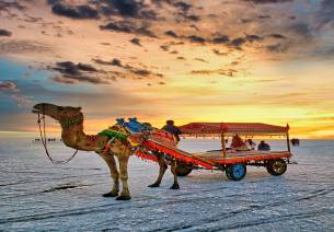 Establishing best practices to attract investments in tourism: The case of Invest India and the Ministry of Tourism, Government of India