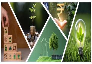 The green push How foreign investors can contribute to India’s sustainability goals 