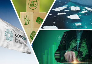How COP29 can benefit India