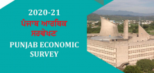 Punjab Economic Survey 2020-21